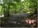 Planina (Dolnja Planina) - Hunting cottage on Planinska gora